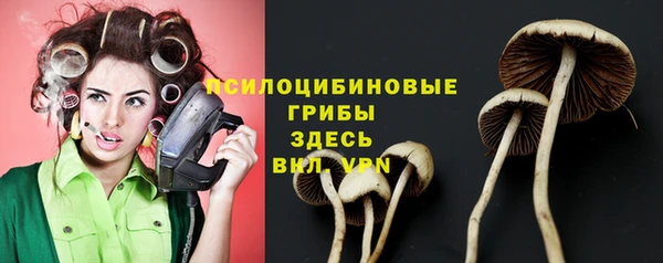 мет Арсеньев