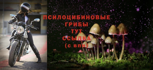 мет Арсеньев