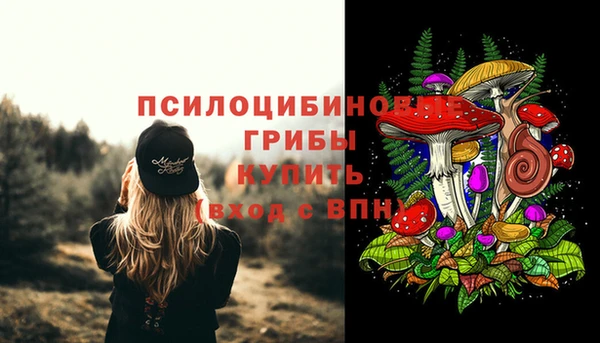 spice Армянск