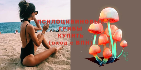 мет Арсеньев